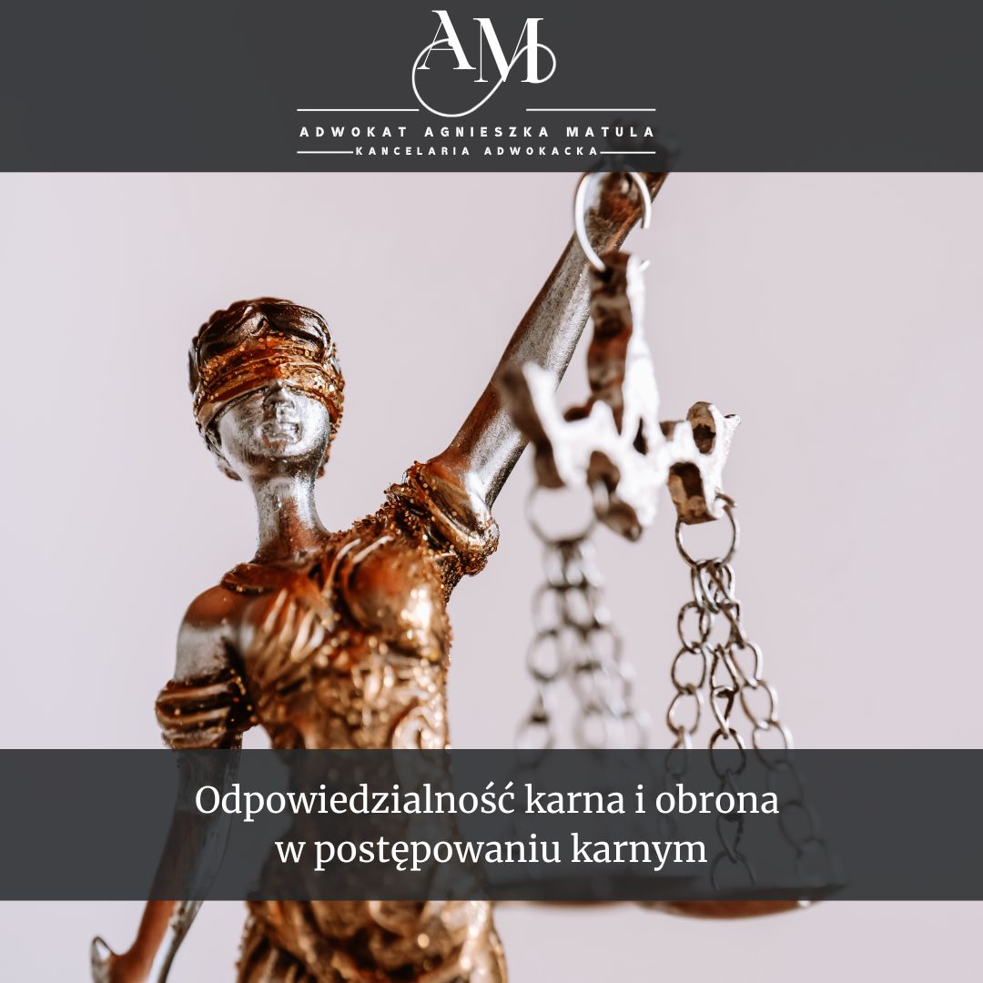 odpowiedzialność karna i obrona adwokat gryfino